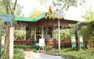 คาเฟ่อเมซอน