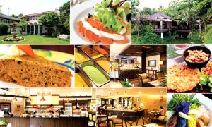 ร้านอาหารสุขภาพ