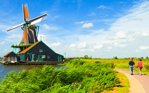 บัตเทอร์คัพ วีซ่า แอน ทรานสเลชั่นเซอร์วิส